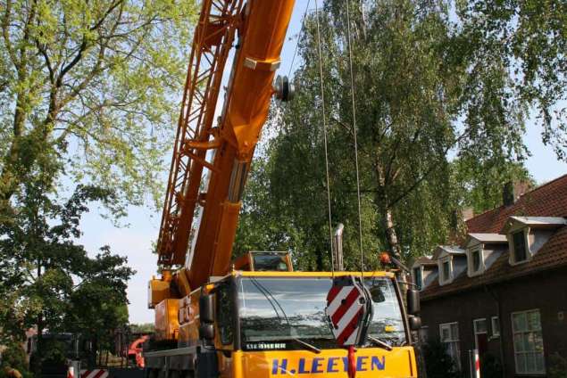 bomen rooien met een kraan